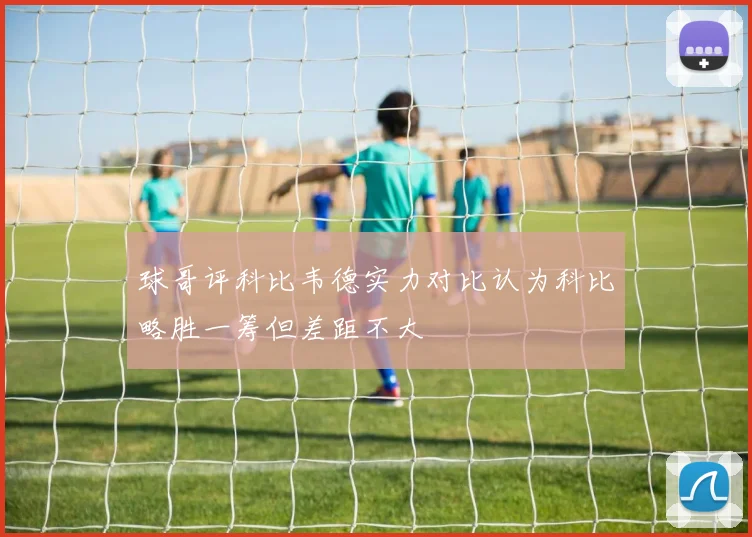 球哥评科比韦德实力对比认为科比略胜一筹但差距不大