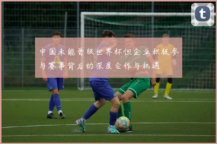 中国未能晋级世界杯但企业积极参与赛事背后的深度合作与机遇